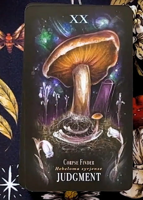 Midnight Magic: A Tarot Deck of Mushrooms